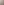 تاريخ الحضارة الإسلامية والفكر الإسلامي
